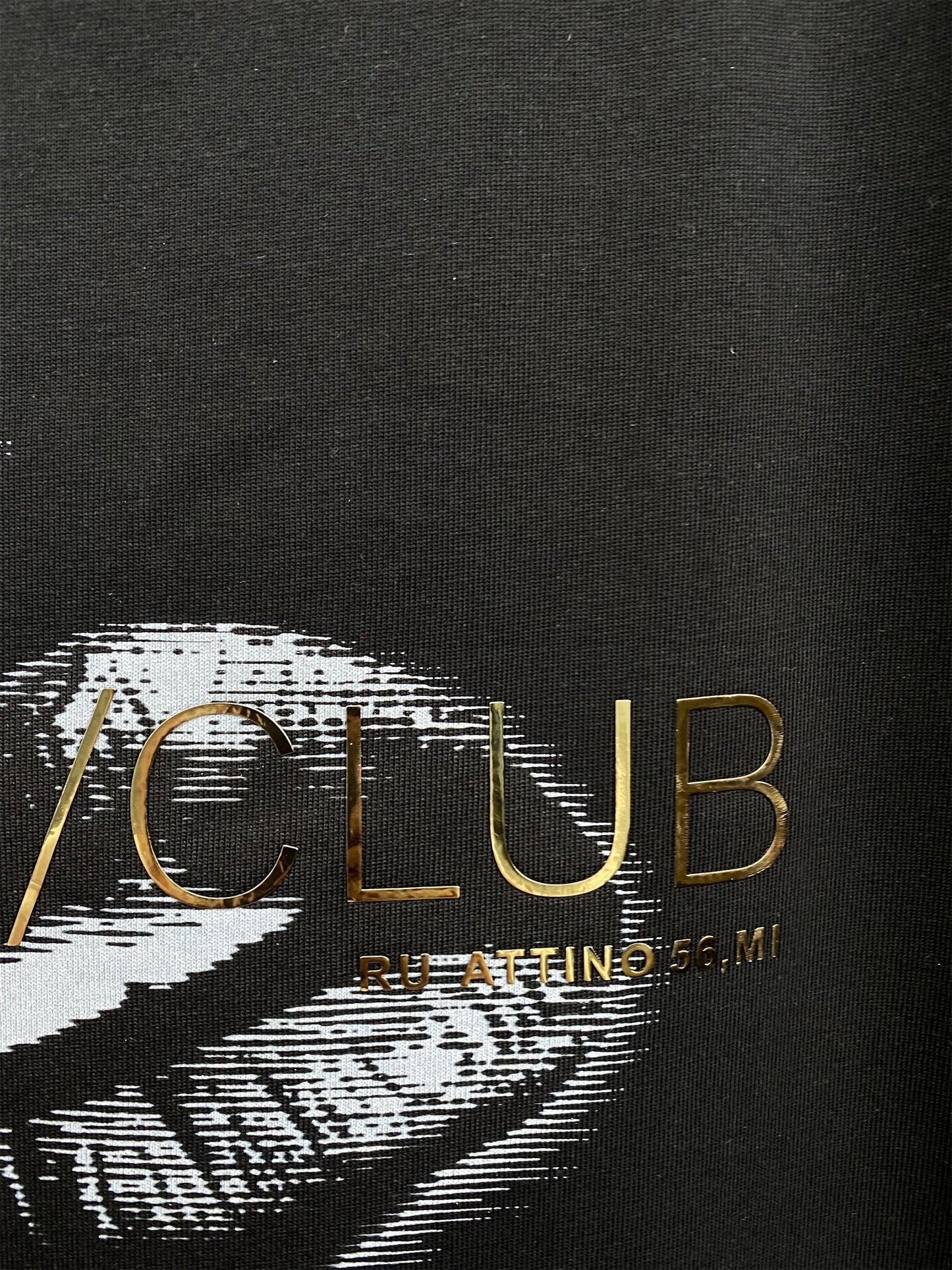 New-D2 26SS ICON Print Hoodie