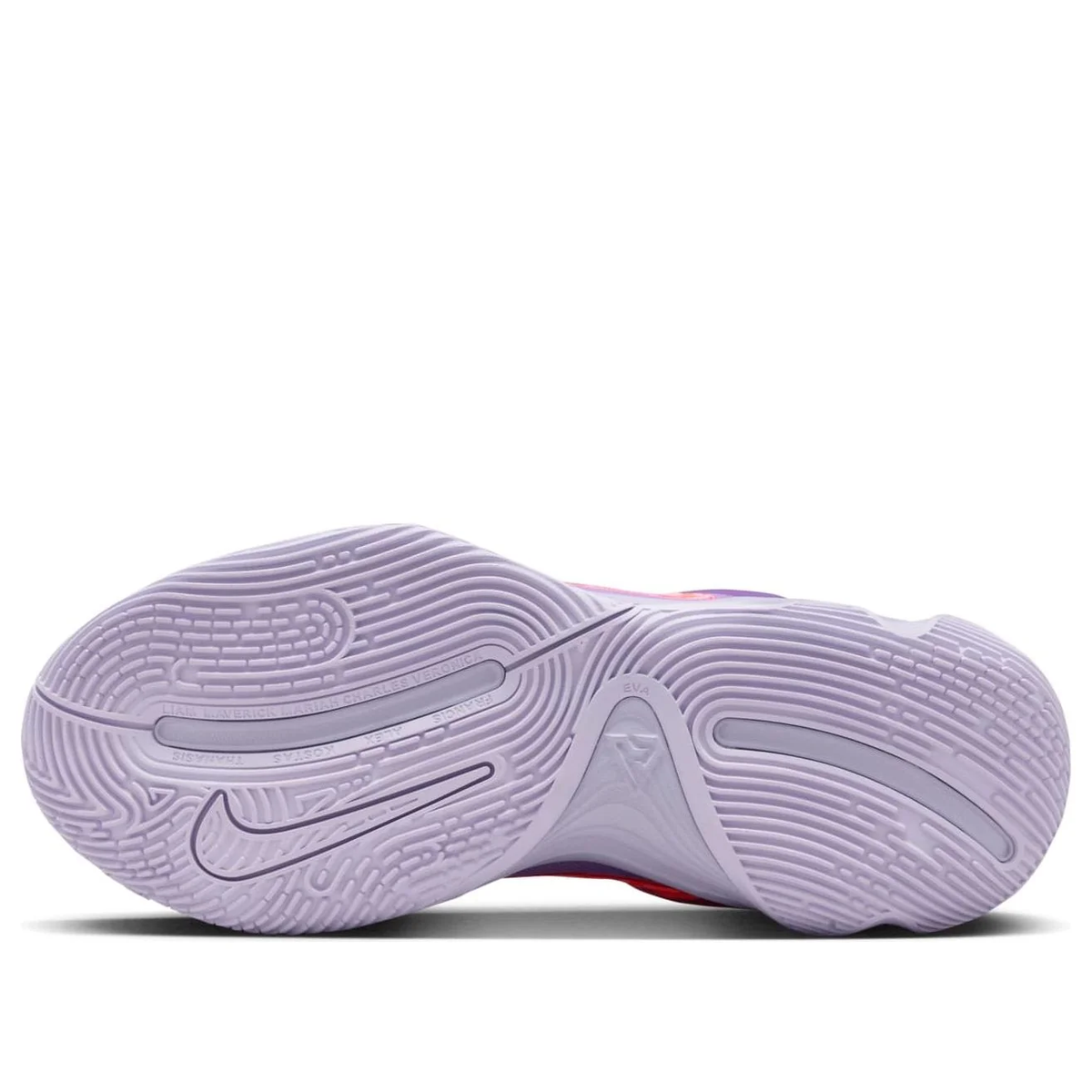 Nike Giannis Immortality 4 'Black Raspberry' Basketball Shoes