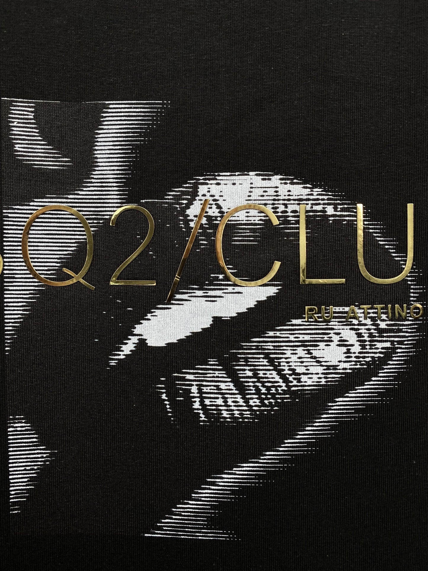 New-D2 26SS ICON Print Hoodie