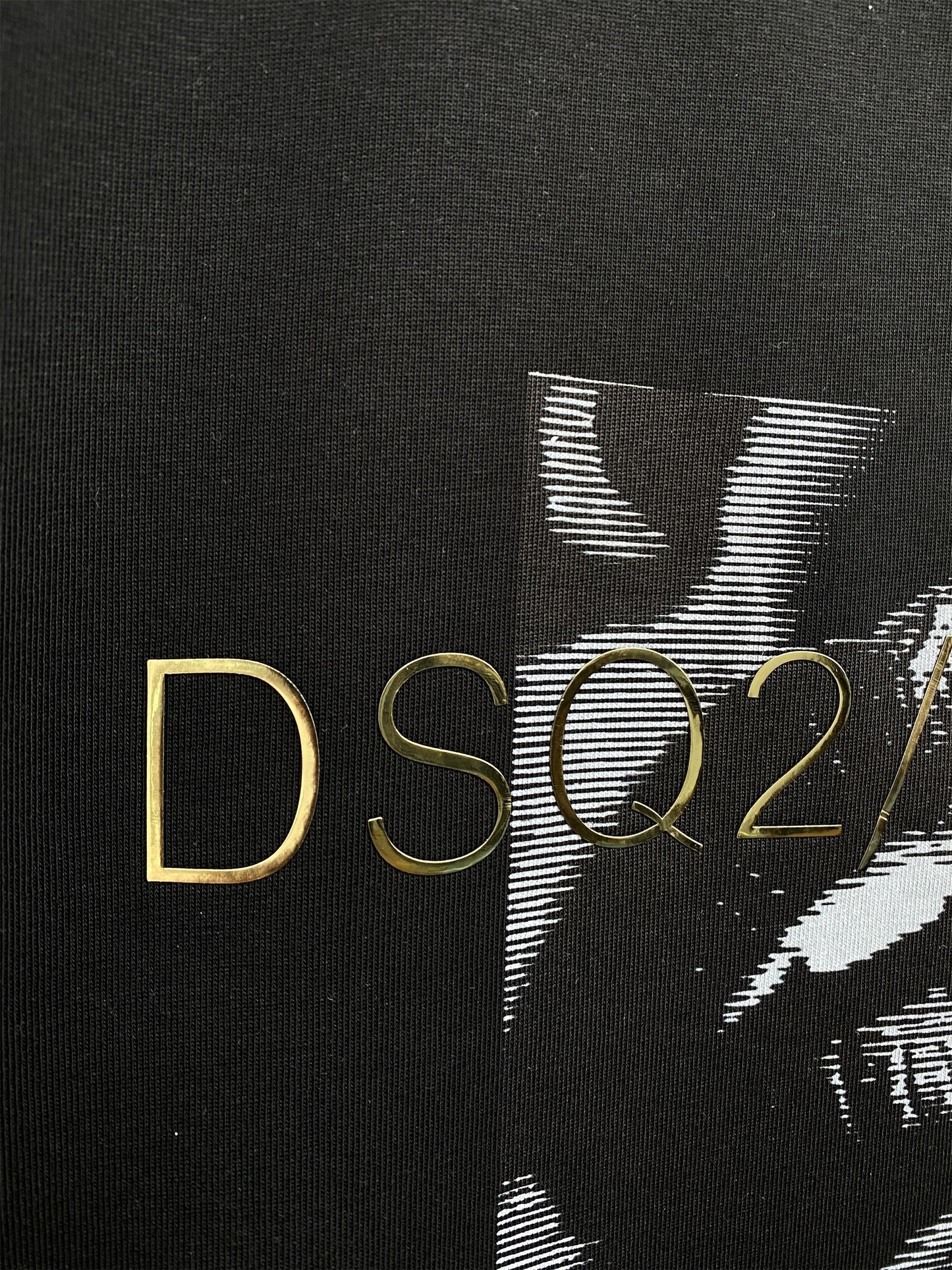 New-D2 26SS ICON Print Hoodie