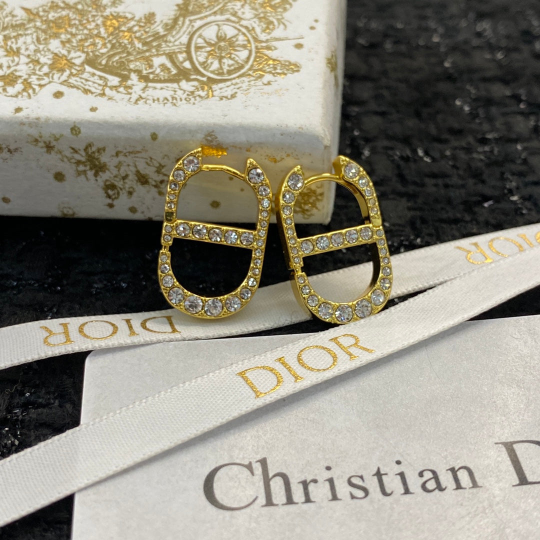 DIOR Crystal Earrings