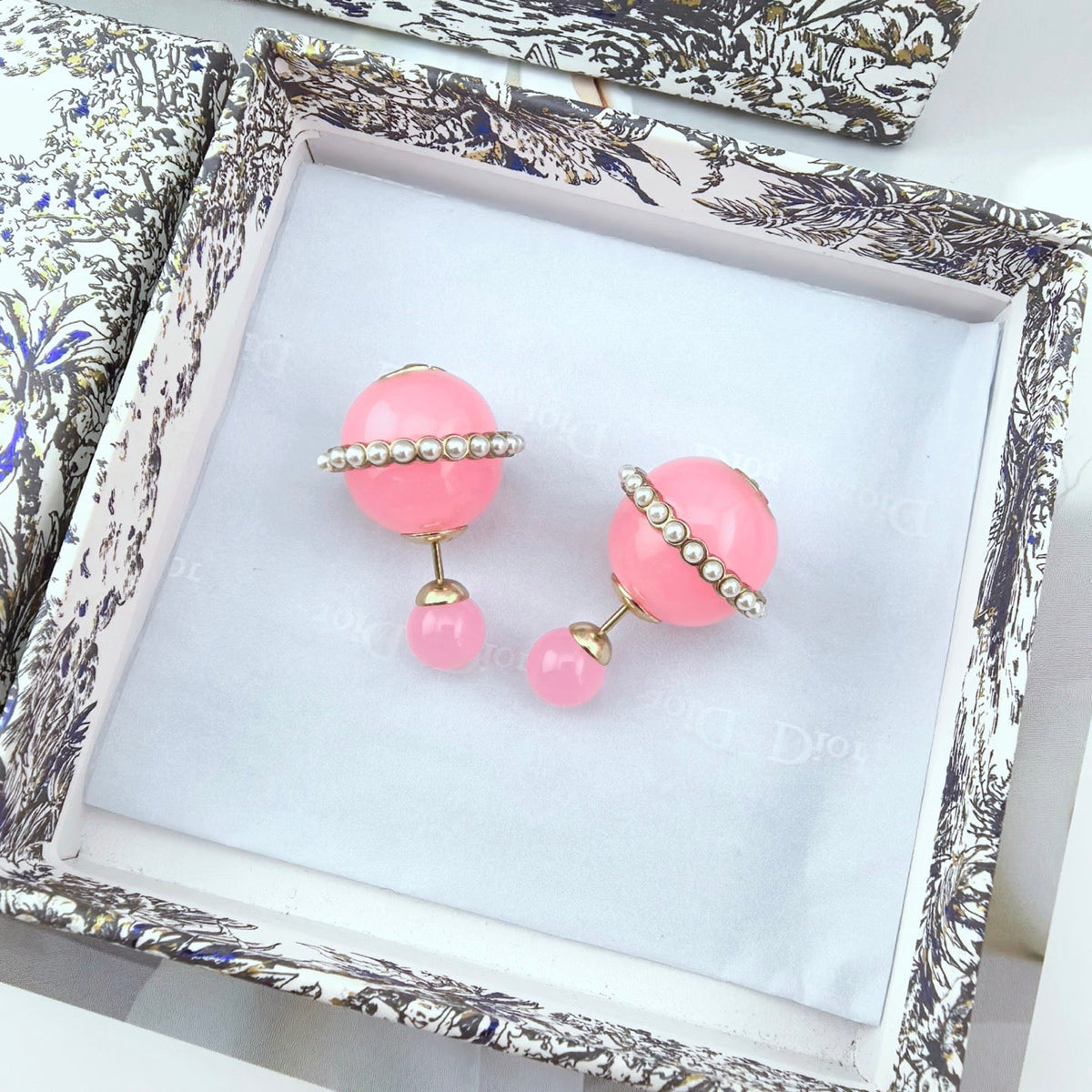 DIOR Earrings