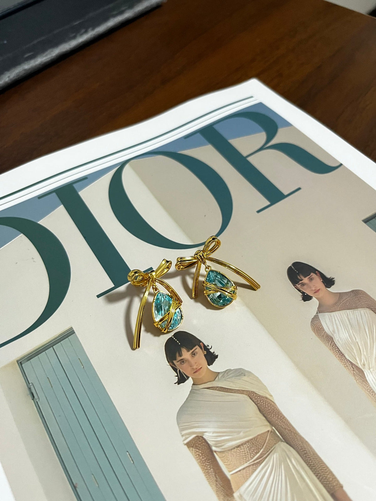 DIOR Earrings
