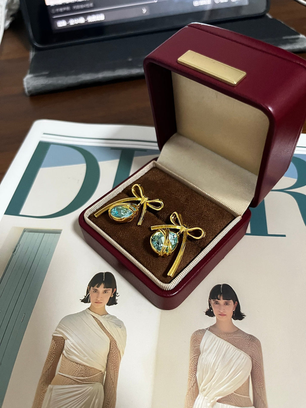 DIOR Earrings