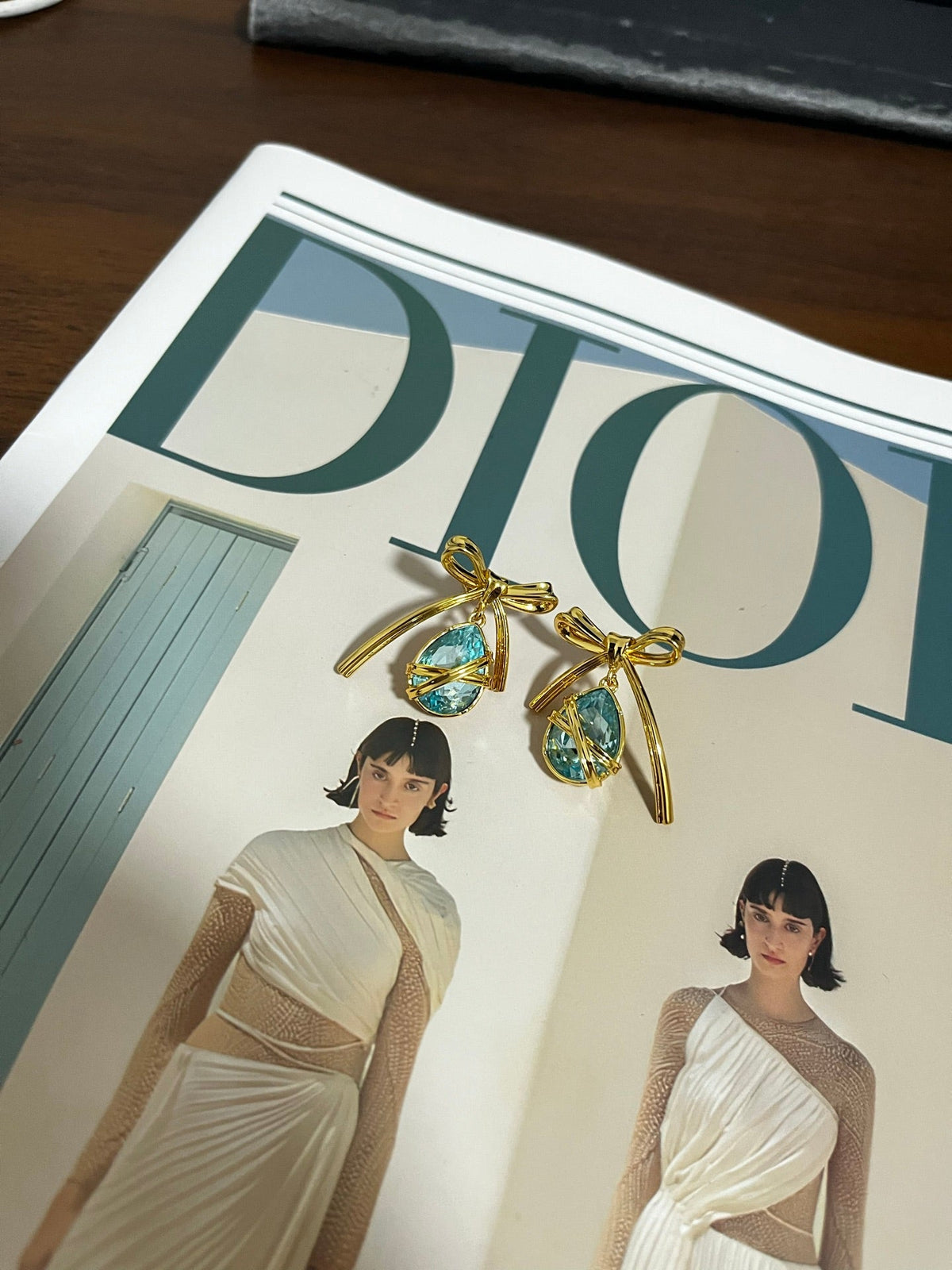DIOR Earrings