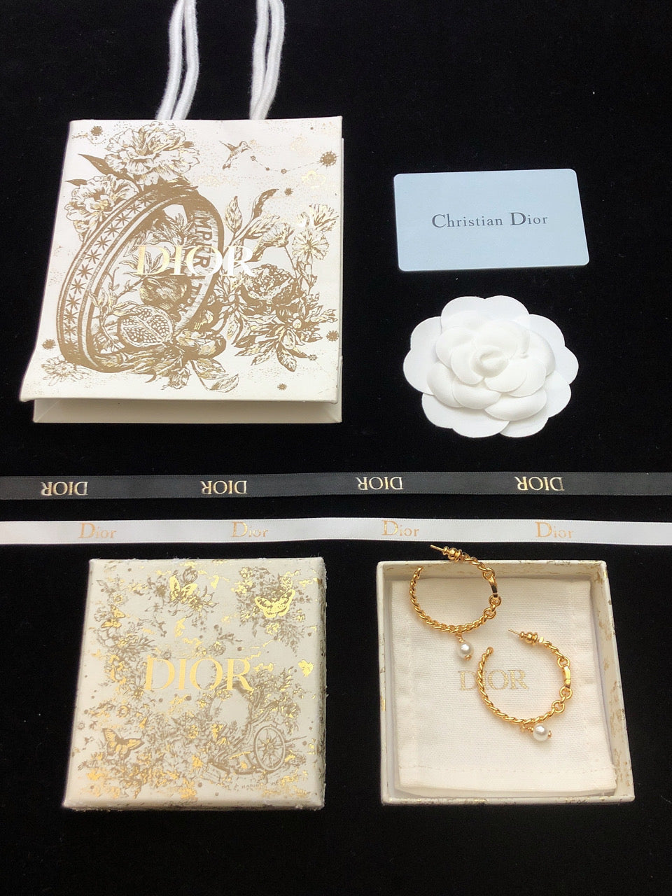 DIOR Earrings
