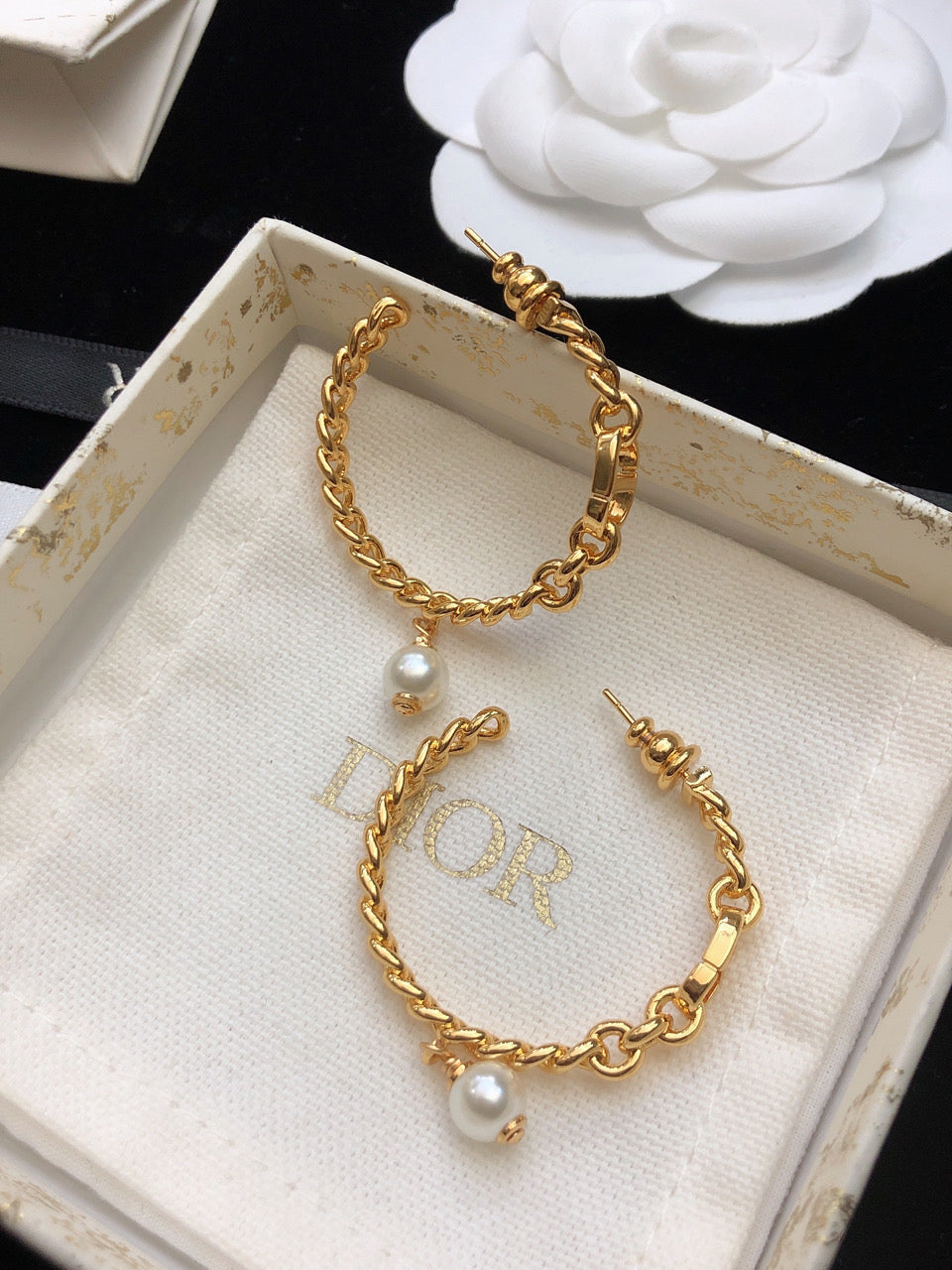 DIOR Earrings