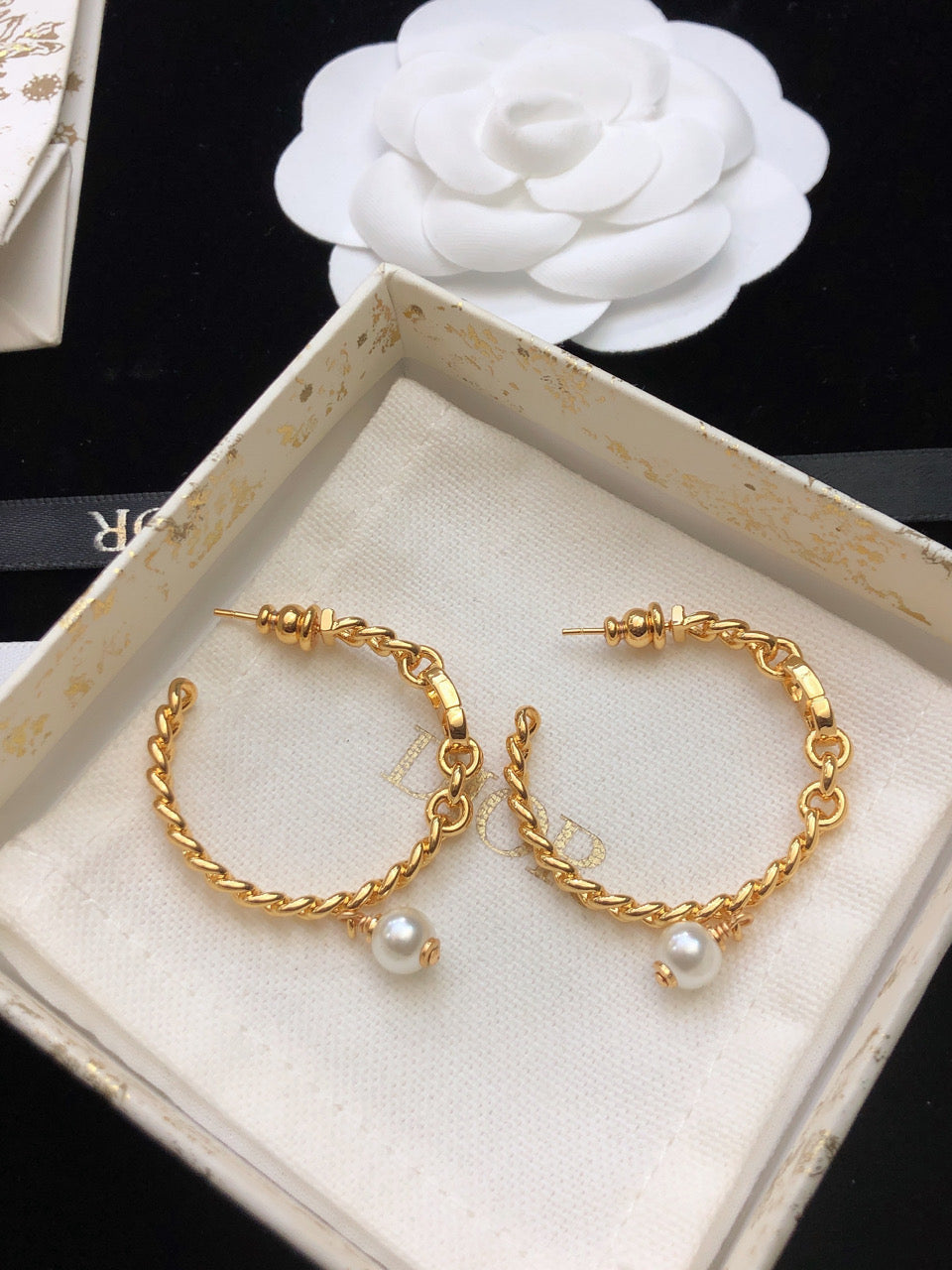 DIOR Earrings