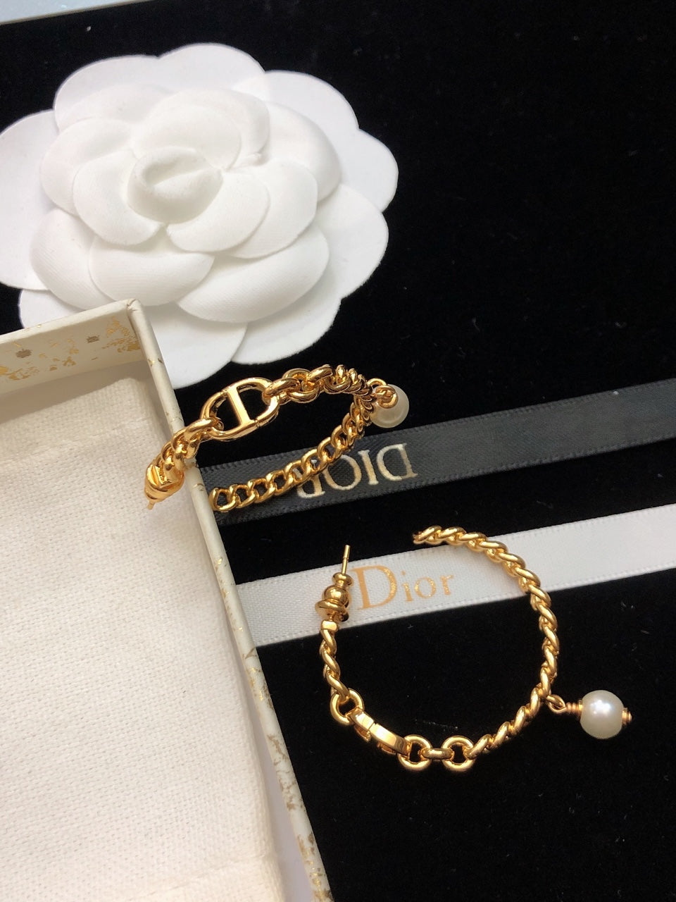 DIOR Earrings