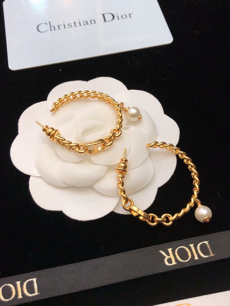 DIOR Earrings