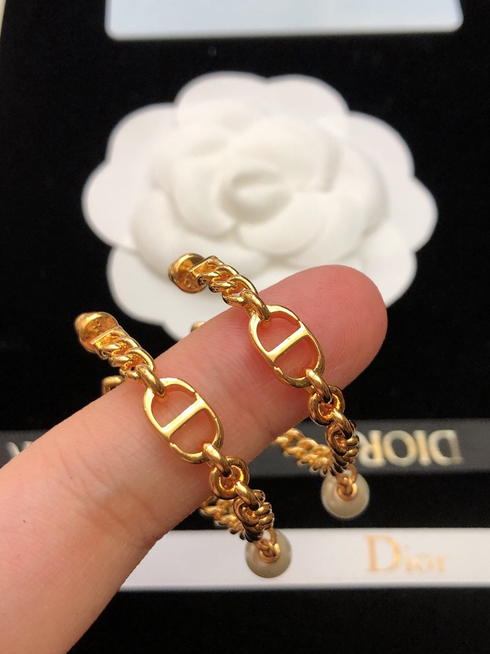 DIOR Earrings
